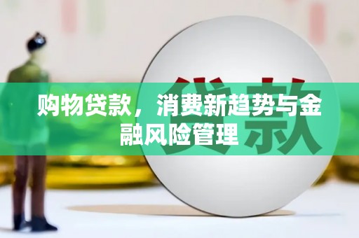 绥芬河购物贷款，消费新趋势与金融风险管理