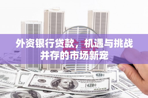 绥芬河外资银行贷款，机遇与挑战并存的市场新宠