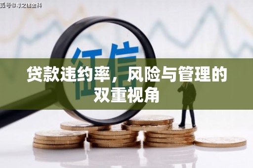 绥芬河贷款违约率，风险与管理的双重视角