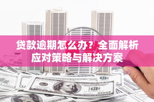 绥芬河贷款逾期怎么办？全面解析应对策略与解决方案
