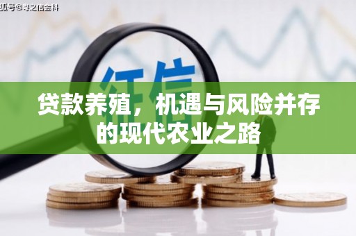 绥芬河贷款养殖，机遇与风险并存的现代农业之路