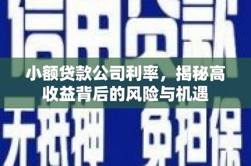 绥芬河小额贷款公司利率，揭秘高收益背后的风险与机遇