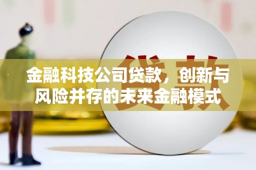 绥芬河金融科技公司贷款，创新与风险并存的未来金融模式
