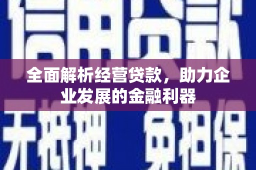 绥芬河全面解析经营贷款，助力企业发展的金融利器