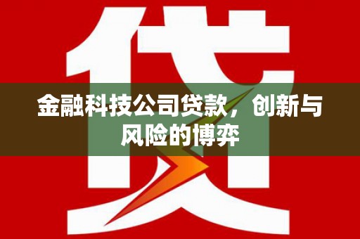 绥芬河金融科技公司贷款，创新与风险的博弈