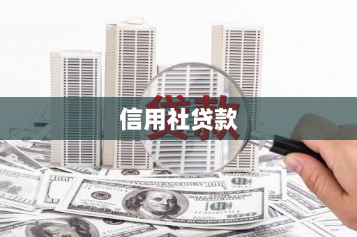 绥芬河信用社贷款