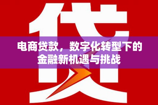 绥芬河电商贷款，数字化转型下的金融新机遇与挑战