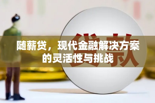 绥芬河随薪贷，现代金融解决方案的灵活性与挑战