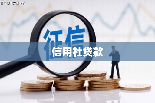 绥芬河信用社贷款