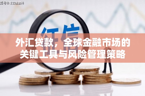 绥芬河外汇贷款，全球金融市场的关键工具与风险管理策略