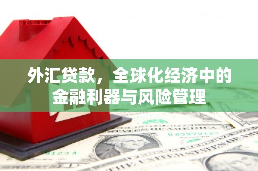 绥芬河外汇贷款，全球化经济中的金融利器与风险管理