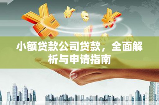 绥芬河小额贷款公司贷款，全面解析与申请指南