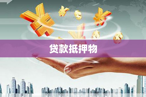 绥芬河贷款抵押物