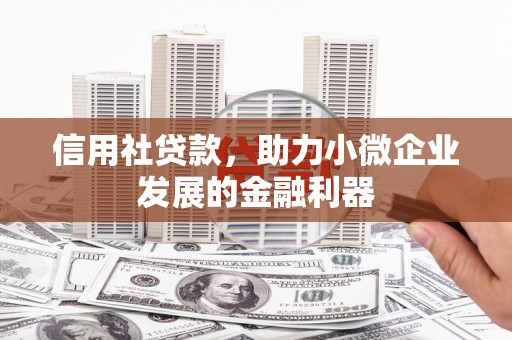 绥芬河信用社贷款，助力小微企业发展的金融利器