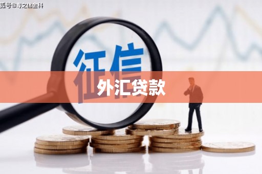 绥芬河外汇贷款