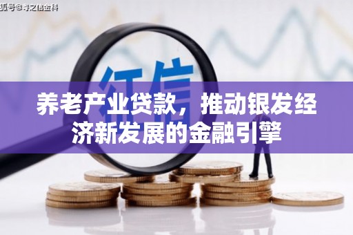 绥芬河养老产业贷款，推动银发经济新发展的金融引擎