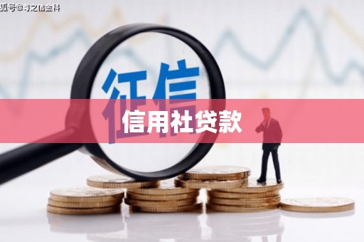 绥芬河信用社贷款