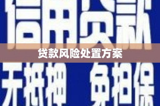 绥芬河贷款风险处置方案