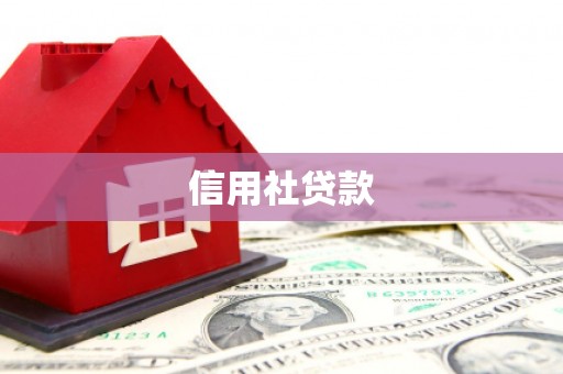 绥芬河信用社贷款