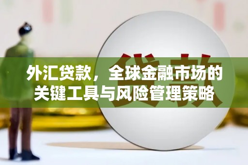 绥芬河外汇贷款，全球金融市场的关键工具与风险管理策略