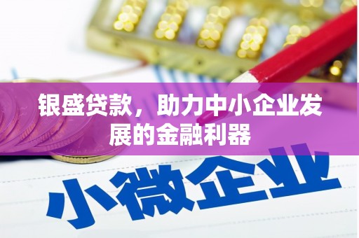 绥芬河银盛贷款，助力中小企业发展的金融利器