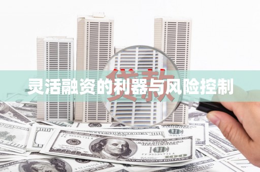 绥芬河灵活融资的利器与风险控制