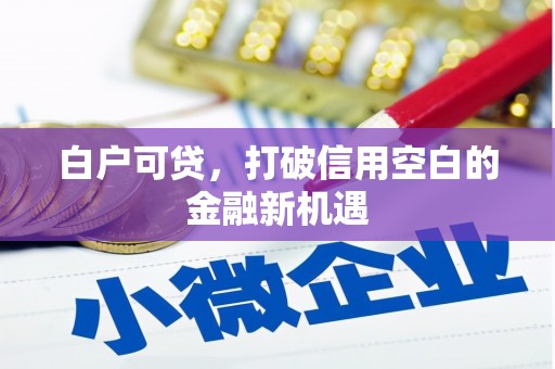 绥芬河白户可贷，打破信用空白的金融新机遇