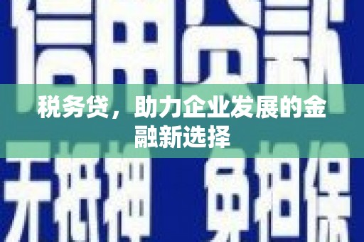 绥芬河税务贷，助力企业发展的金融新选择