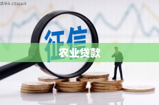 绥芬河农业贷款