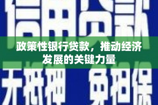 绥芬河政策性银行贷款，推动经济发展的关键力量