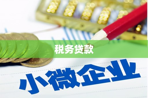 绥芬河税务贷款