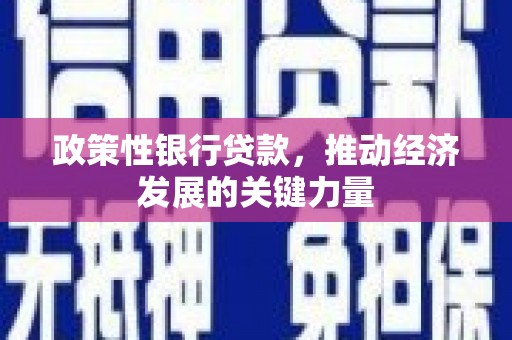 绥芬河政策性银行贷款，推动经济发展的关键力量