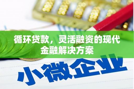 绥芬河循环贷款，灵活融资的现代金融解决方案