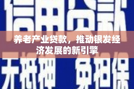 绥芬河养老产业贷款，推动银发经济发展的新引擎