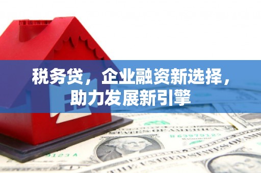 绥芬河税务贷，企业融资新选择，助力发展新引擎