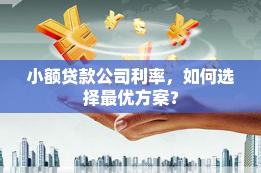 绥芬河小额贷款公司利率，如何选择最优方案？