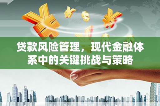 绥芬河贷款风险管理，现代金融体系中的关键挑战与策略