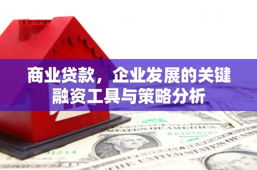 绥芬河商业贷款，企业发展的关键融资工具与策略分析
