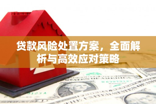 绥芬河贷款风险处置方案，全面解析与高效应对策略