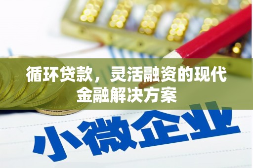 绥芬河循环贷款，灵活融资的现代金融解决方案