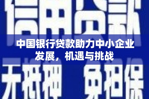 绥芬河中国银行贷款助力中小企业发展，机遇与挑战