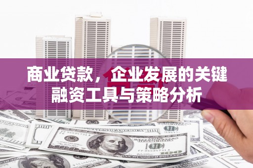 绥芬河商业贷款，企业发展的关键融资工具与策略分析