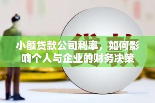 绥芬河小额贷款公司利率，如何影响个人与企业的财务决策