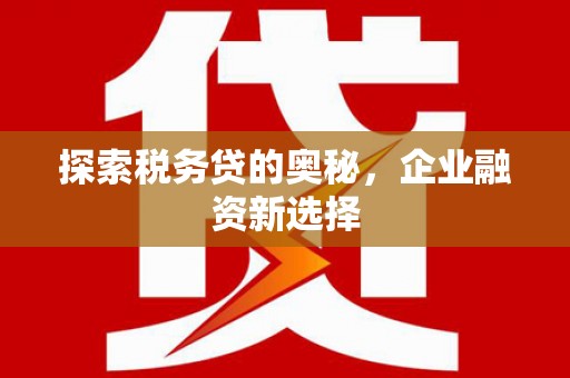 绥芬河探索税务贷的奥秘，企业融资新选择