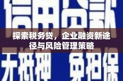 绥芬河探索税务贷，企业融资新途径与风险管理策略