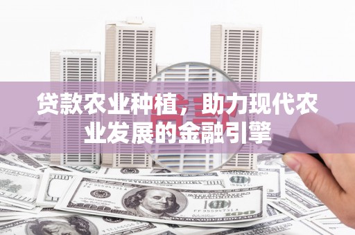 绥芬河贷款农业种植，助力现代农业发展的金融引擎
