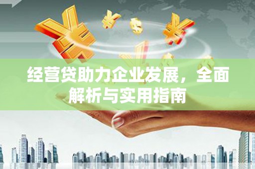 绥芬河经营贷助力企业发展，全面解析与实用指南