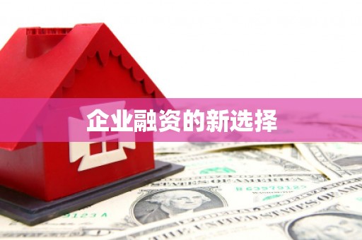 绥芬河企业融资的新选择