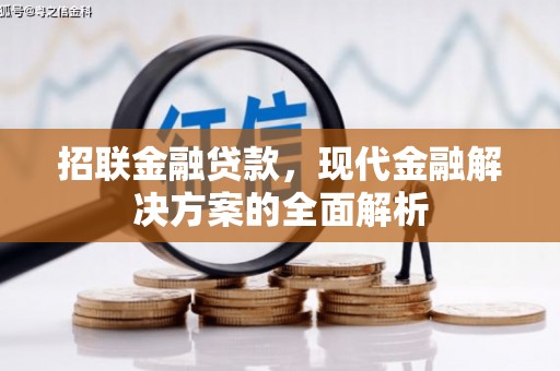 绥芬河招联金融贷款，现代金融解决方案的全面解析