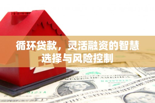 绥芬河循环贷款，灵活融资的智慧选择与风险控制